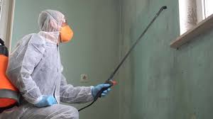 Best Mold Prevention Services  in Donora, PA