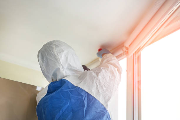 Best Black Mold Removal  in Donora, PA